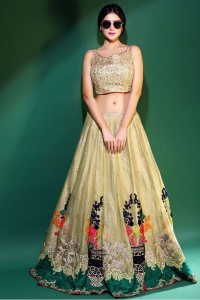 Erum Khan embroidered lehenga choli 2019 for wedding