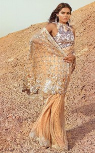 Teena Durani Sari 2017 in Peach Color