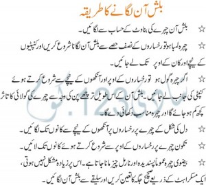 Makeup Tips in Urdu for Blush