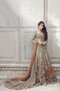 Pakistani Bridal Dresses for Walima in Pastel Color