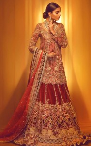 Pakistani Bridal Dresses for Barat Day In Rust Color