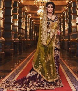 Pakistani Bridal Dresses for Walima