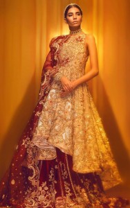 Pakistani Bridal Dresses for Barat Day In Red Color