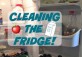 Easy Fridge cleaning tips