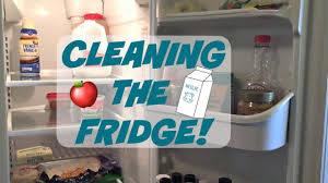 Easy Fridge cleaning tips 