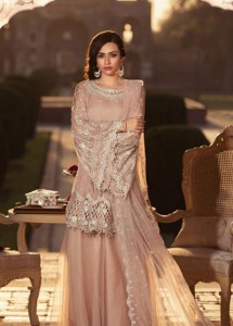 Latest Pakistani Eid Dresses 2021 For Girls & Women